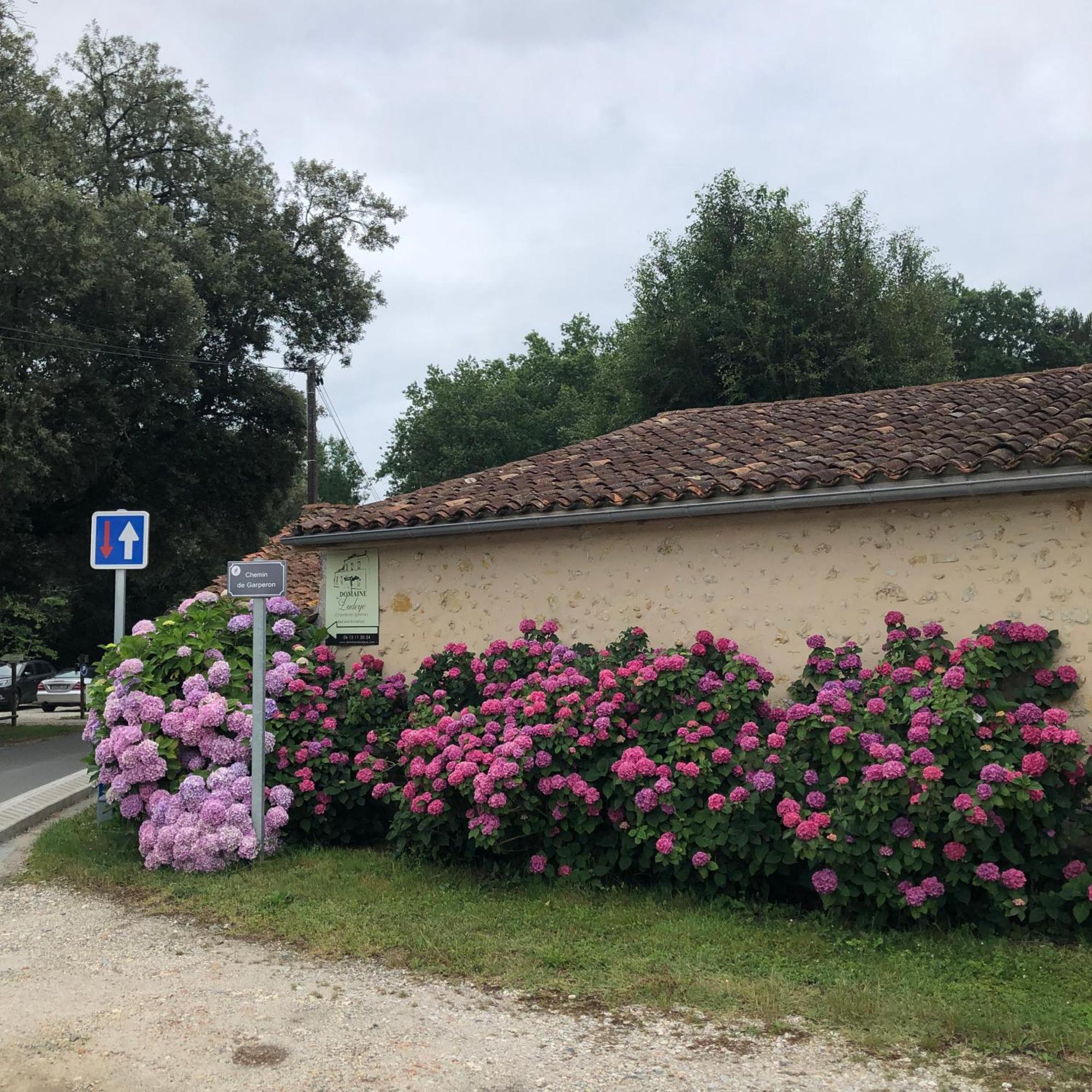 Hotel Domaine De Ludeye Listrac-Médoc Zewnętrze zdjęcie